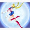 flat750x075f pad750x1000f8f8f8.u2 11 - Sailor Moon EU Store