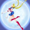 flat750x075f pad750x750f8f8f8 20 - Sailor Moon EU Store